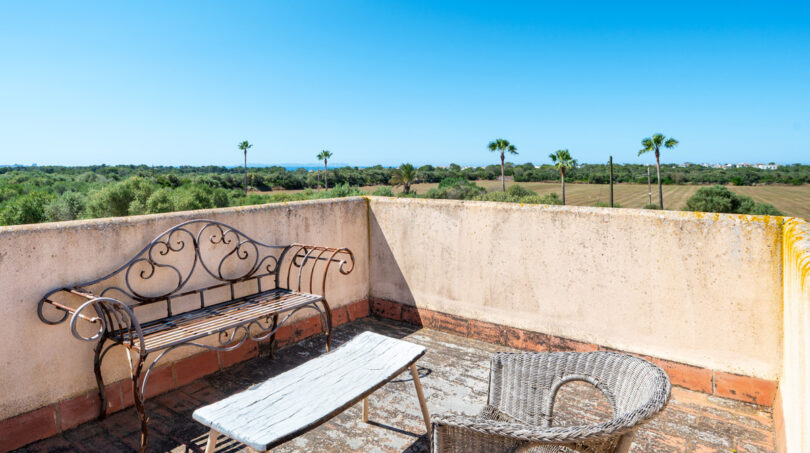 Terraza