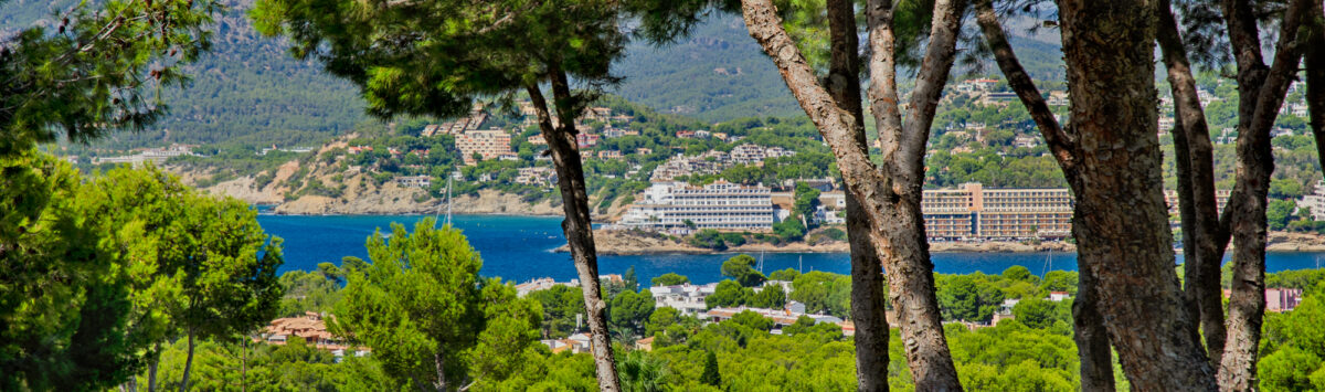 Panoramablick von Villa in Santa Ponça auf Mittelmeer, Berge und Ortschaft durch mediterrane Pinien