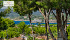 DSC_6949-Editar