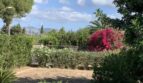 Gepflegter Garten des Chalets in Es Garrovers mit Bougainvillea, Pinien und Bergblick.