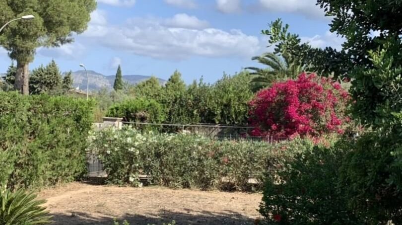 Gepflegter Garten des Chalets in Es Garrovers mit Bougainvillea, Pinien und Bergblick.