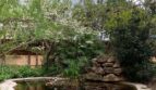 Naturnaher Gartenteich mit Felsbach, Palmen und Blütenbäumen im Chalet Es Garrovers, Marratxí