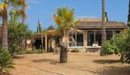 Finca