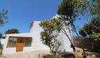Außenansicht der weißen Finca in Son Ferriol mit Holztür, Terrakottadach und mediterranem Garten bei blauem Himmel.
