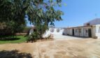 Sonniger Innenhof der Finca in Son Ferriol mit weißen Gebäuden, Terrasse und Bäumen unter blauem Himmel.