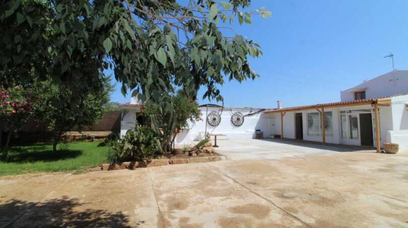 Sonniger Innenhof der Finca in Son Ferriol mit weißen Gebäuden, Terrasse und Bäumen unter blauem Himmel.
