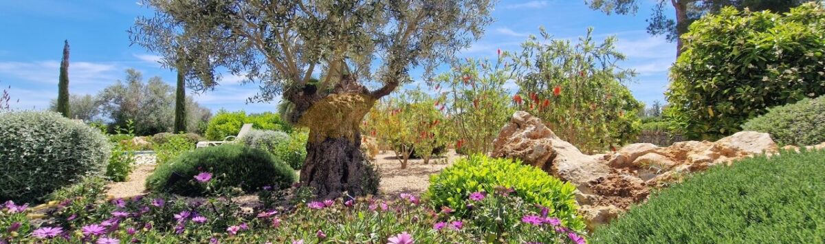 Bild zum Objekt: Im Bau: Luxus Finca mit 4 SZ, Pool und Meerblick zu kaufen