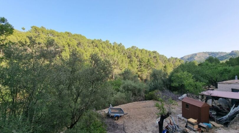 ---gPhotos of the property