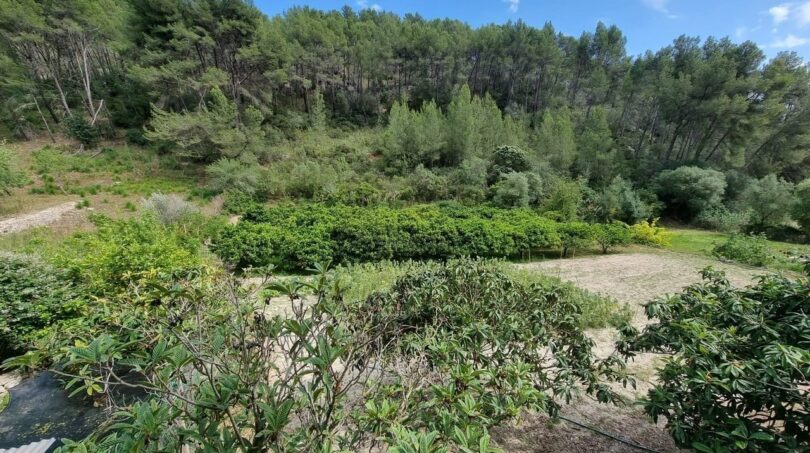 Photos of the property