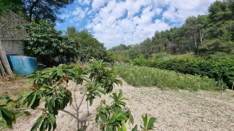 Photos of the property