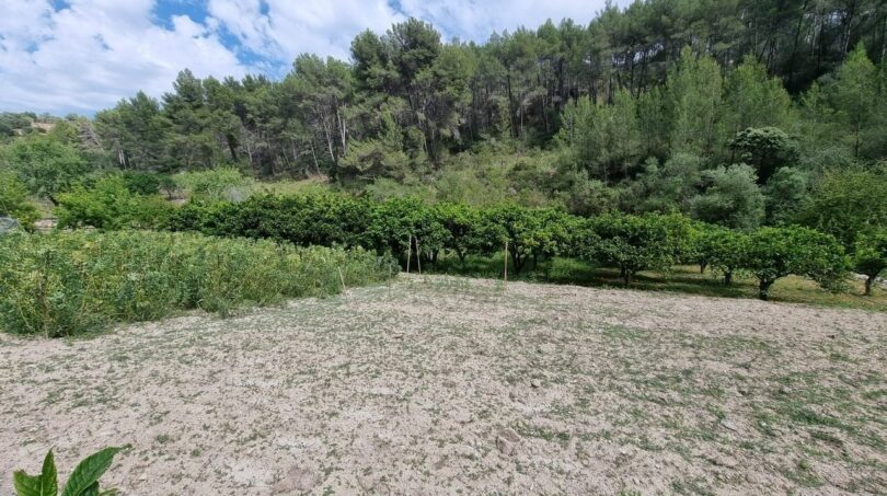 Photos of the property