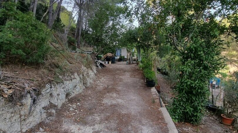 Photos of the property