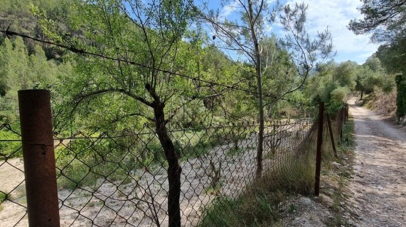 Photos of the property