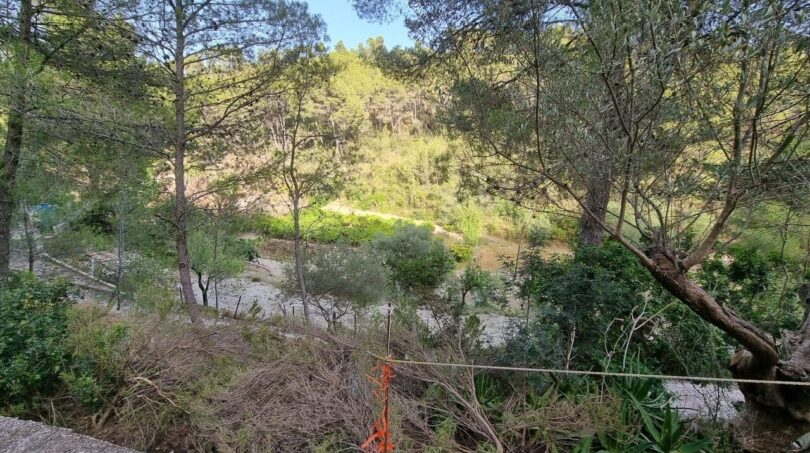 Photos of the property