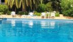 Hotel pool with turquoise blue water, palm trees and white sun loungers in Palma de Mallorca
