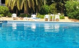 Hotel pool with turquoise blue water, palm trees and white sun loungers in Palma de Mallorca