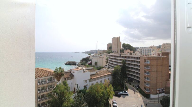 Vista desde la terraza