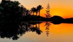 Piscina infinita al atardecer, siluetas de palmeras reflejadas en el agua, Villa Santa Ponça