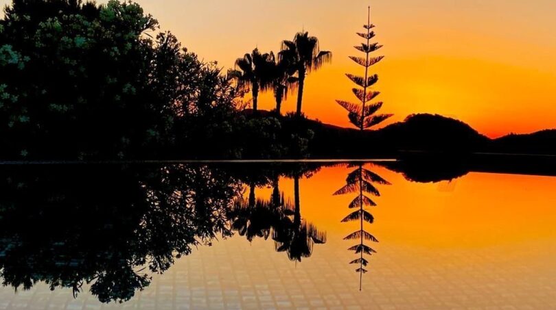 Piscina infinita al atardecer, siluetas de palmeras reflejadas en el agua, Villa Santa Ponça