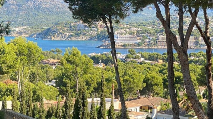 Vista panorámica de la bahía y las montañas de Santa Ponça, rodeadas de pinos y vegetación mediterránea.