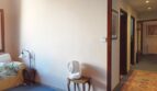 Helles Wohnzimmer mit blauem Teppichboden, Sofa und Blick in den Flur, renovierungsbedürftig, Palma de Mallorca.