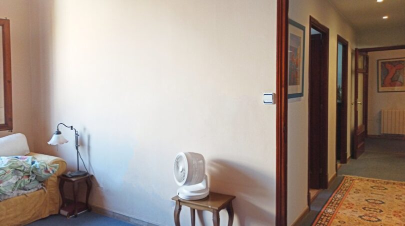 Helles Wohnzimmer mit blauem Teppichboden, Sofa und Blick in den Flur, renovierungsbedürftig, Palma de Mallorca.