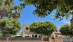 Außenansicht Villa Llucmajor: Mediterranes Einfamilienhaus hinter Natursteinmauer, umgeben von Palmen und Zitruspflanzen.