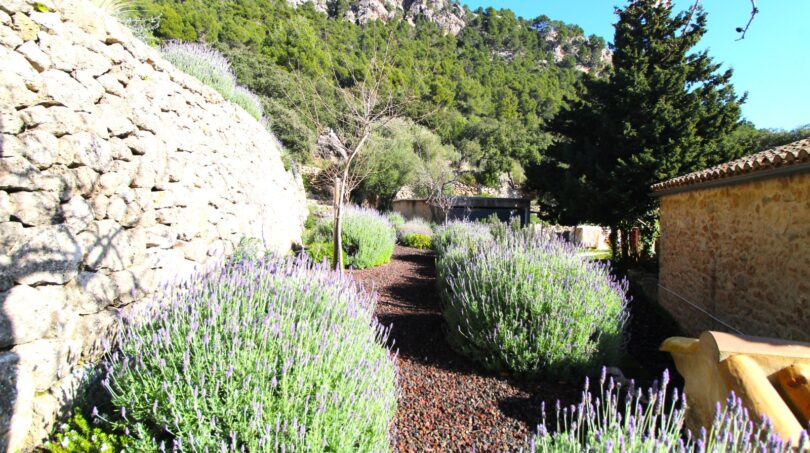 Gartenweg mit Lavendelbeeten, Natursteinmauer und Bergkulisse in Esporles