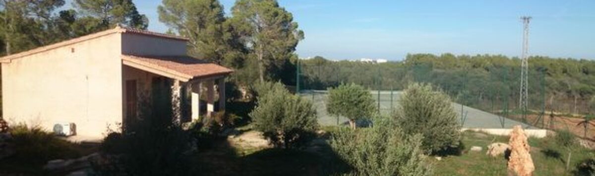 Bild zum Objekt: Finca mit 8 Zimmern, 5 Bädern, Meerblick und Pool zu mieten