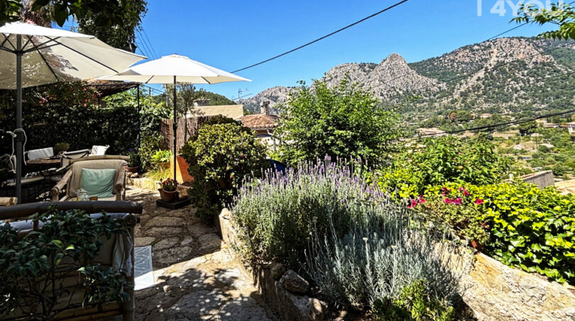 Garden view