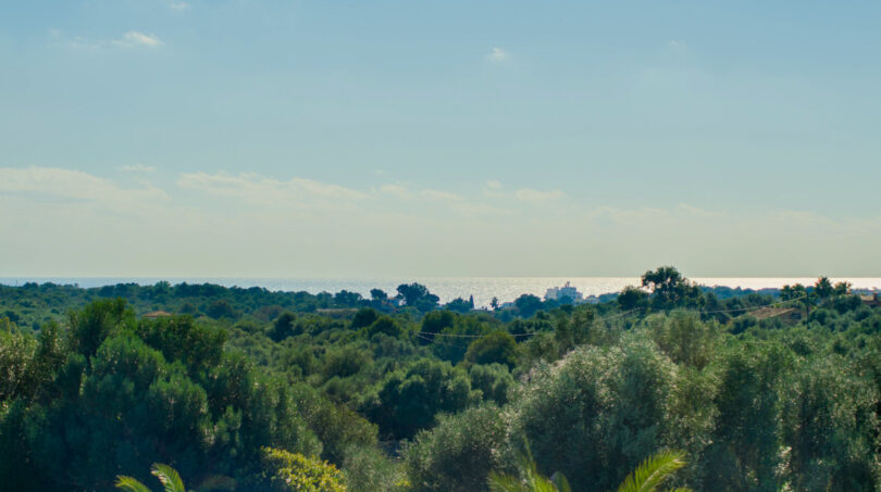 Aussicht / Meerblick