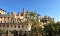 Wohnung zur Miete in zentraler Lage in Palmas Altstadt