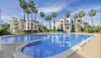 Communal pool with blue water, palm trees and Mediterranean apartment buildings in Santa Ponça