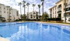 Communal pool with palm trees and Mediterranean residential complexes in Santa Ponça