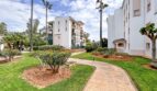Well-maintained garden path with palm trees between Mediterranean residential buildings in Santa Ponça, Mallorca
