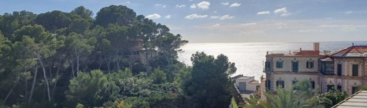 Panoramablick vom Loft: Mittelmeer, historische Villen und mediterraner Pinienwald in Palma de Mallorca