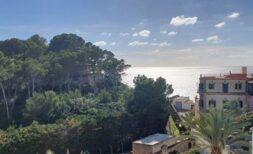 Panoramablick vom Loft: Mittelmeer, historische Villen und mediterraner Pinienwald in Palma de Mallorca