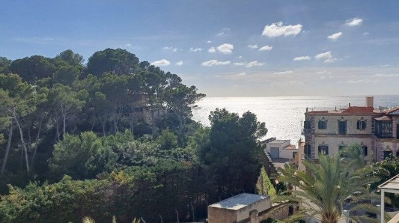Panoramablick vom Loft: Mittelmeer, historische Villen und mediterraner Pinienwald in Palma de Mallorca