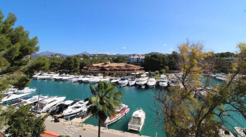 Blick direkt von der Terrasse