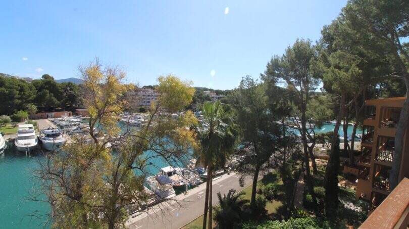 Blick direkt von der Terrasse