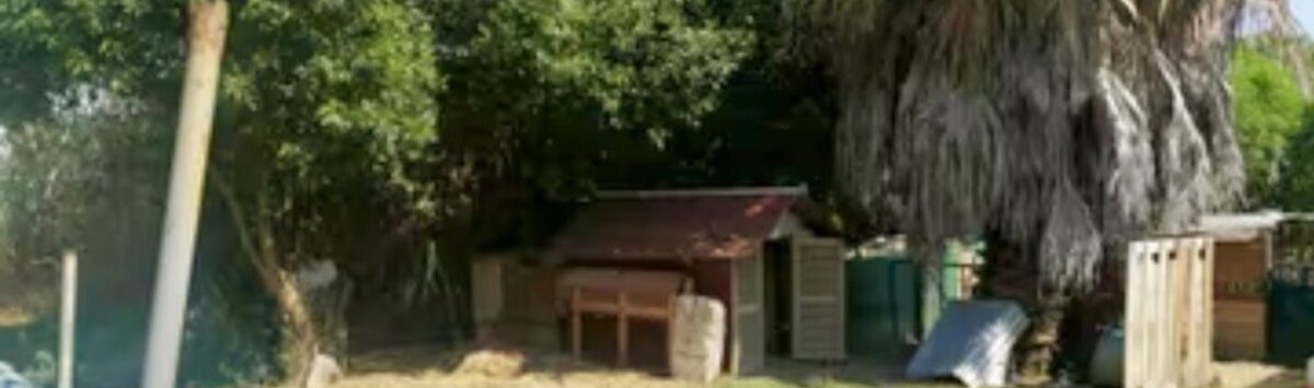 Bild zum Objekt: Autarke 2.500m² Finca mit 3 Zimmern und Bad zu kaufen