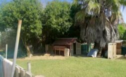 Mallorca – Günstige Finca in guter Lage nahe Can Picafort / Muro