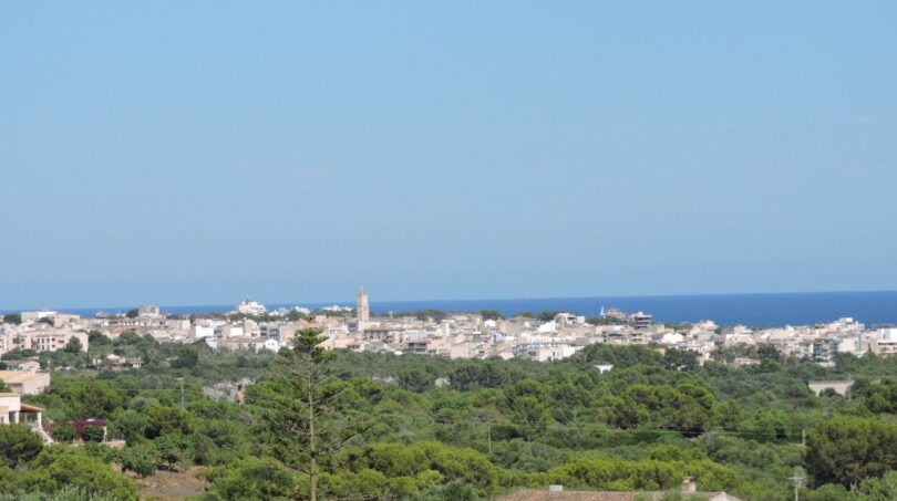DSCN7014