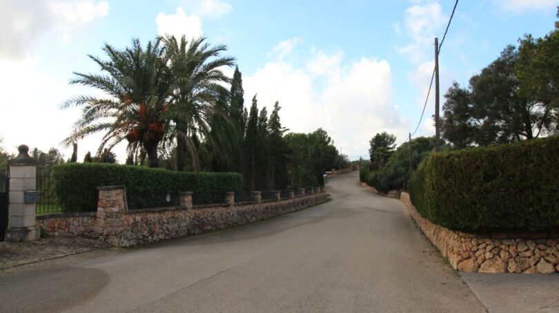 Zufahrtsstraße zur Finca in Palma mit Steinmauern, Palmen und mediterranem Grün