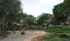Weitläufiger Gartenbereich der Finca mit Kieswegen, Sitzbereich und mediterranen Olivenbäumen