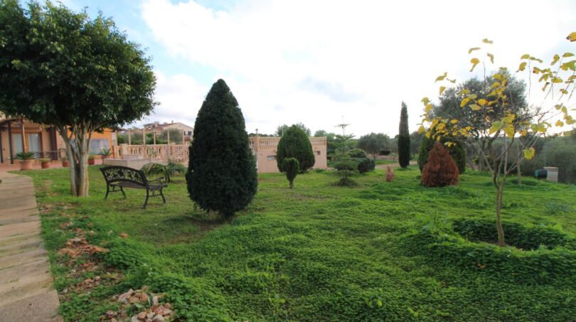 Weitläufiger Garten der Finca mit gepflegten Zypressen, Sitzbank und mediterranem Grünbestand in Palma de Mallorca.