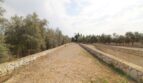 Langer Schotterweg mit Trockensteinmauern und Olivenbäumen zur Neubau-Finca in Son Llebre, Palma