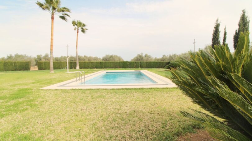 Großer Pool im gepflegten Garten der Neubau-Finca in Son Liebre, umgeben von Palmen und Hecken.