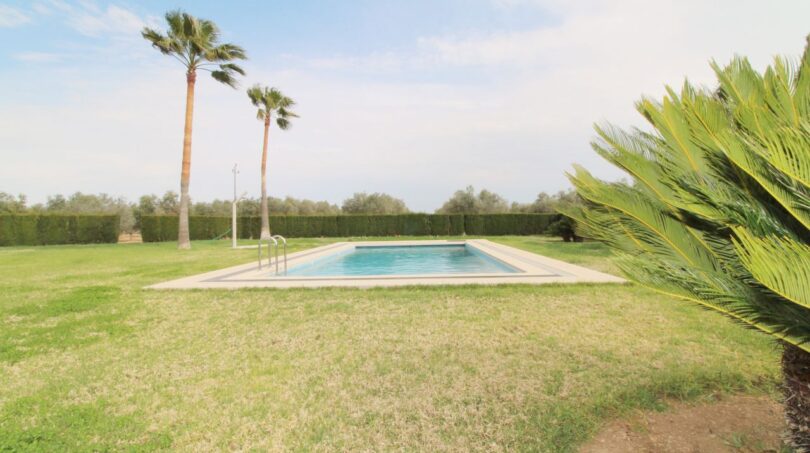 Weitläufiger Garten mit rechteckigem Pool, Palmen und Hecke der Neubau-Finca in Palma - Son Liebre