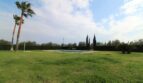Weitläufiger Garten der Neubau-Finca in Son Llebre mit rechteckigem Pool, Palmen und Zypressen.